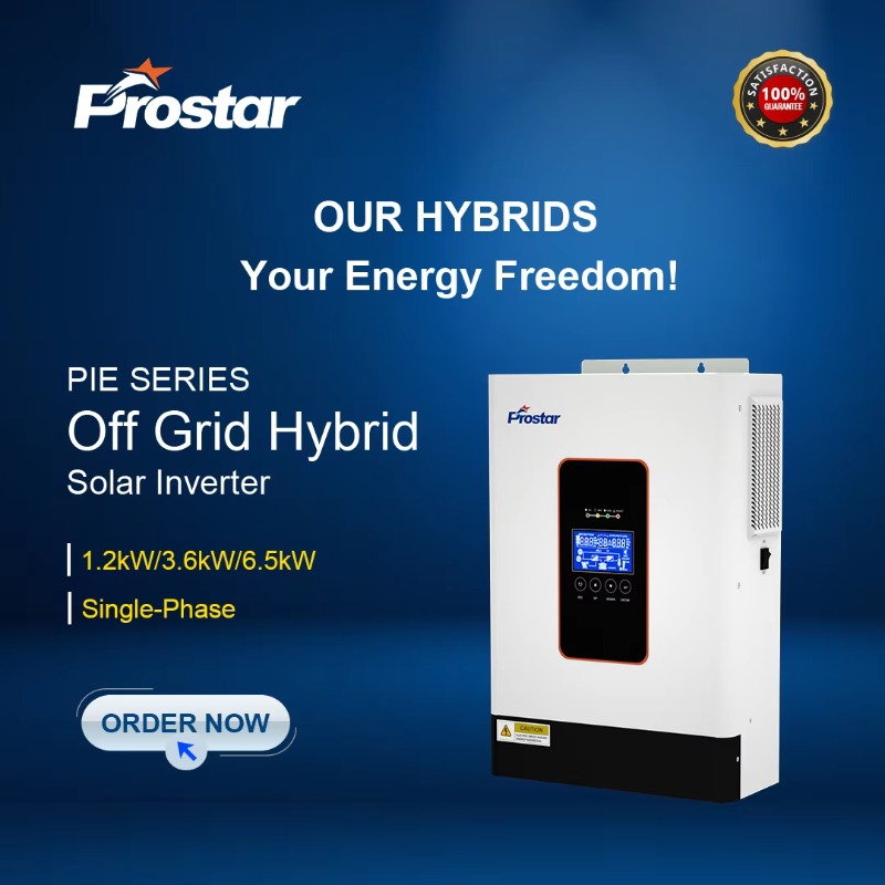 【2026】3.6kw 12V 24V 48V Pure S - Renewable Energy Us recension och pris